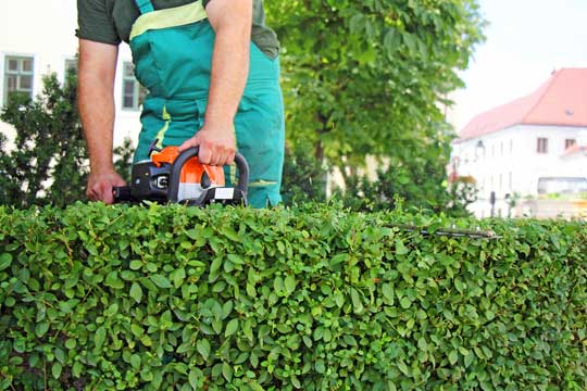 Usk hedge cutting and trimming services