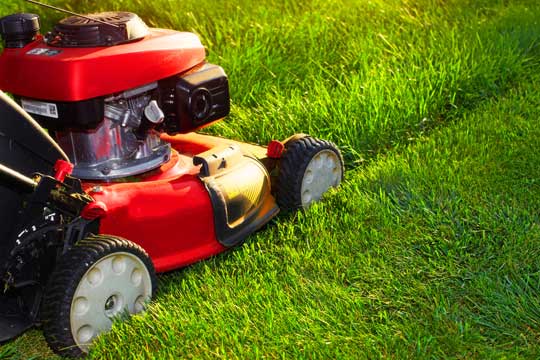 Chepstow lawn mowing services